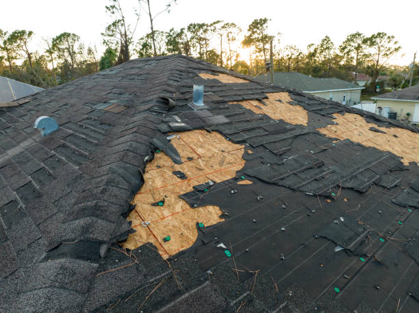 Hail & Wind Damage